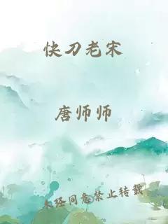 快刀老宋